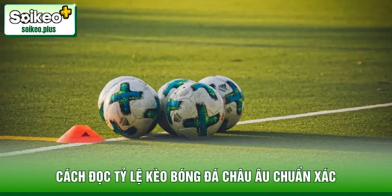 Cách đọc tỷ lệ kèo bóng đá châu Âu chuẩn xác