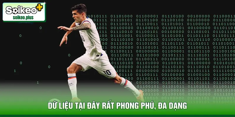 Dữ liệu tại đây rất phong phú, đa dạng