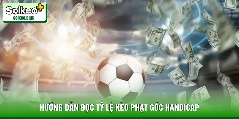 Hướng dẫn đọc tỷ lệ kèo phạt góc Handicap