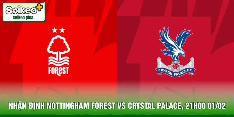 Nhận Định Nottingham Forest Vs Crystal Palace, 21h00 01/02