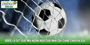 Odds Là Gì? Giải Mã Ngôn Ngữ Của Nhà Cái Cùng Chuyên Gia