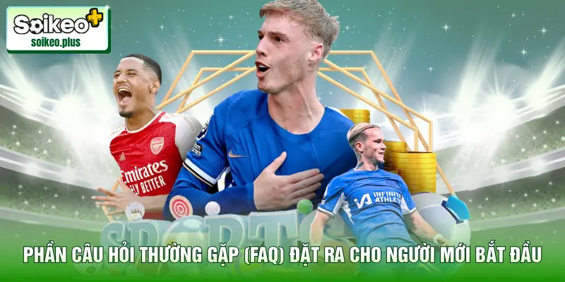 Phần câu hỏi thường gặp (FAQ) đặt ra cho người mới bắt đầu
