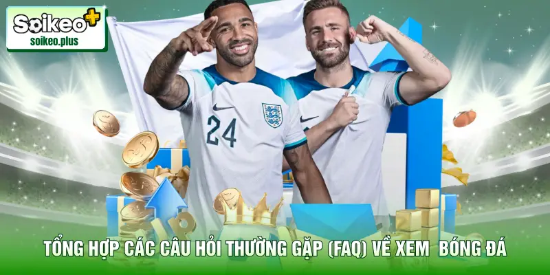 Tổng hợp các câu hỏi thường gặp (FAQ) về xem thông tin bóng đá