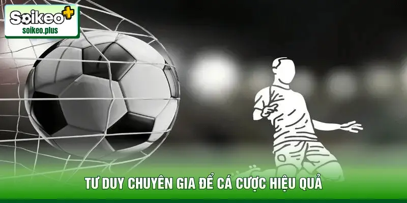 Tư duy chuyên gia để cá cược hiệu quả